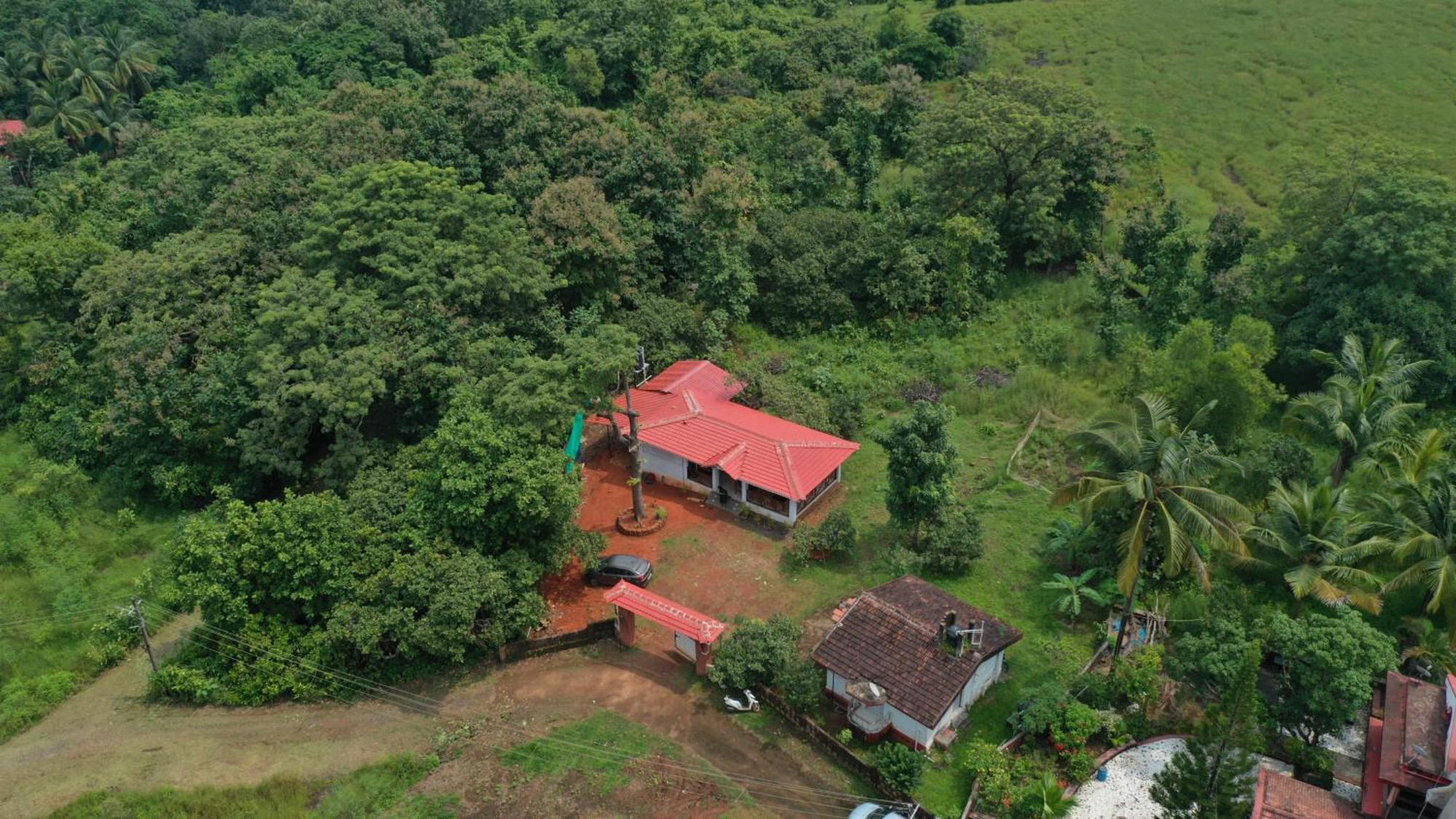 Cabo De Rama Cola